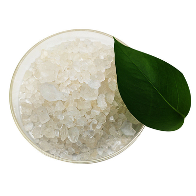 熱い販売CAS 2079878-75-2 2 （2 Chlorophenyl） - 2-nitrocyclohexanone